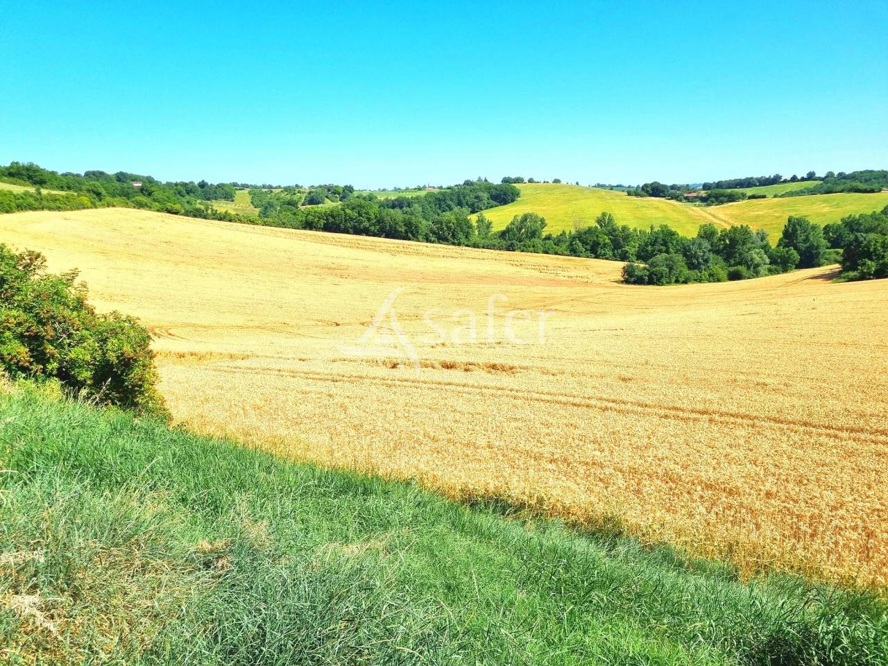 Explotaci&oacute;n agr&iacute;cola En venta Tarn y Garona