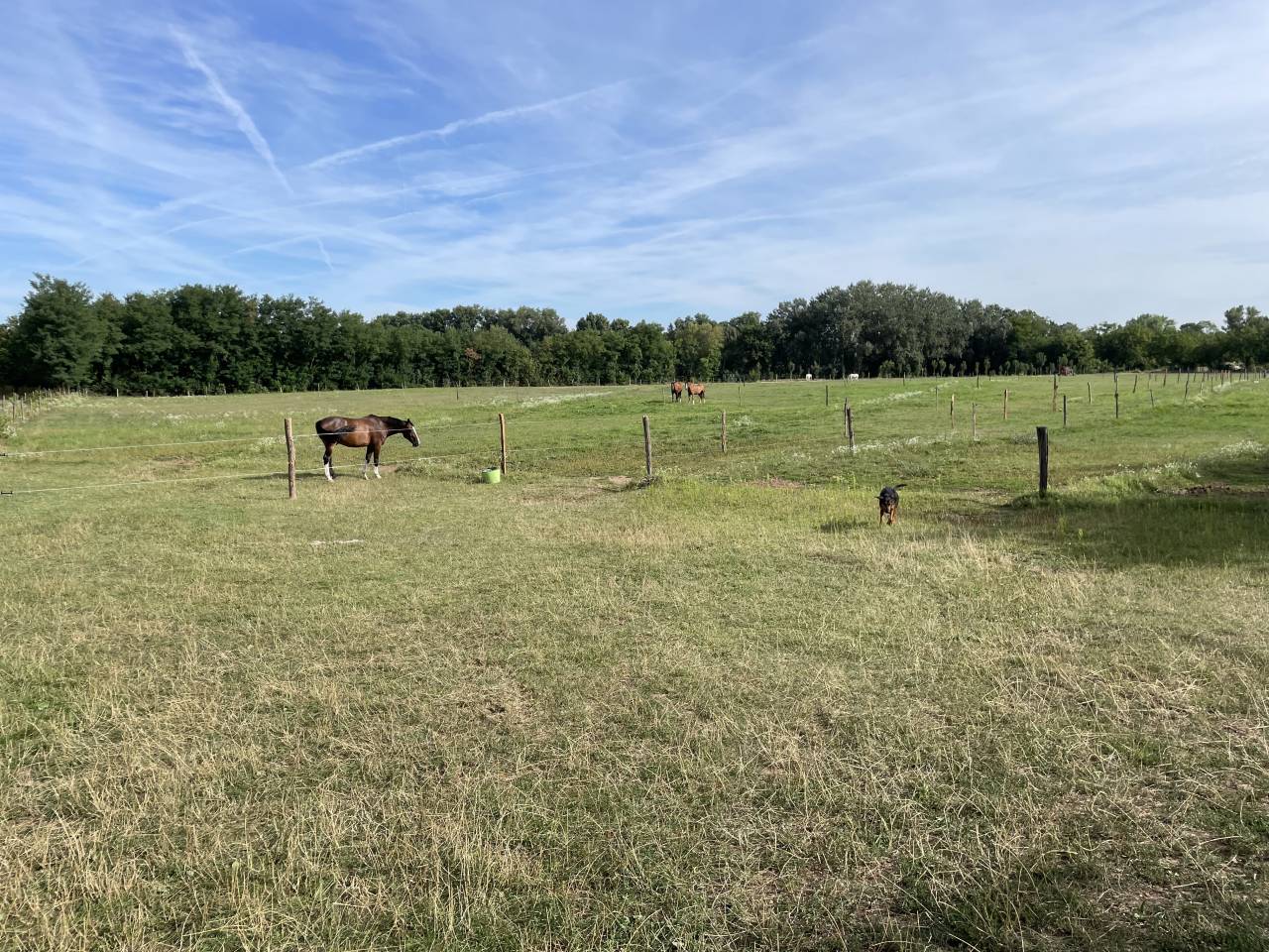 Centro ecuestre En venta Is&egrave;re