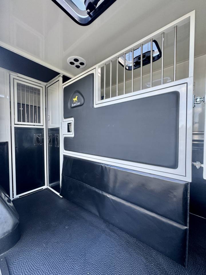 Furgoneta para caballos Ameline RENAULT MASTER  2025 Nuevo