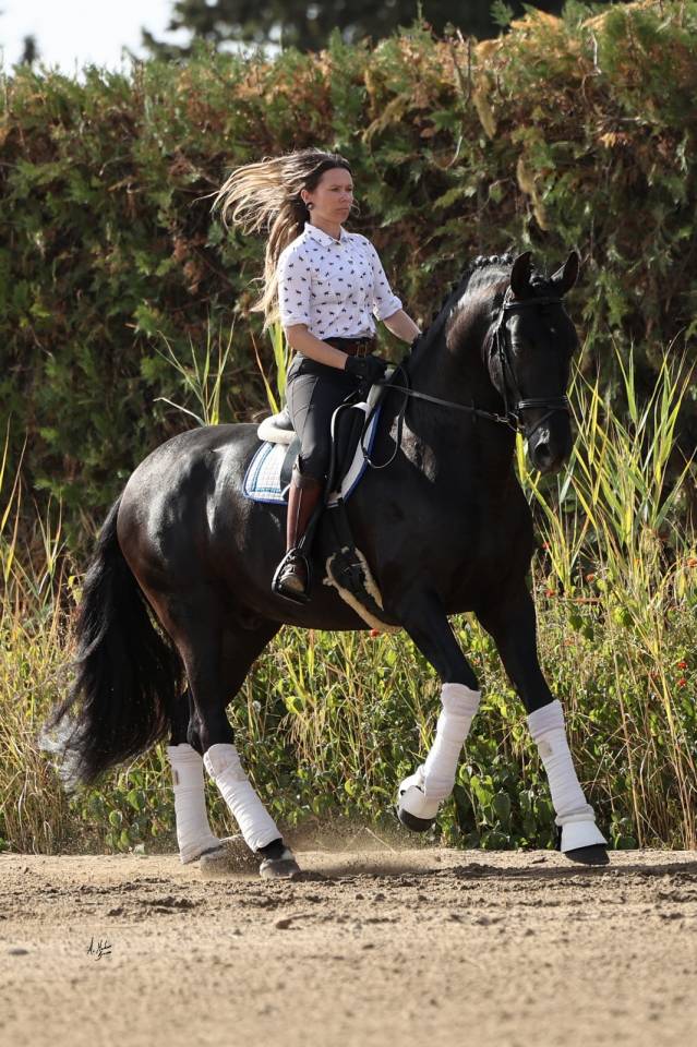 NIVEUS MAZ - PRE Pura Raza Espa&ntilde;ola 2016 por SINAPIS