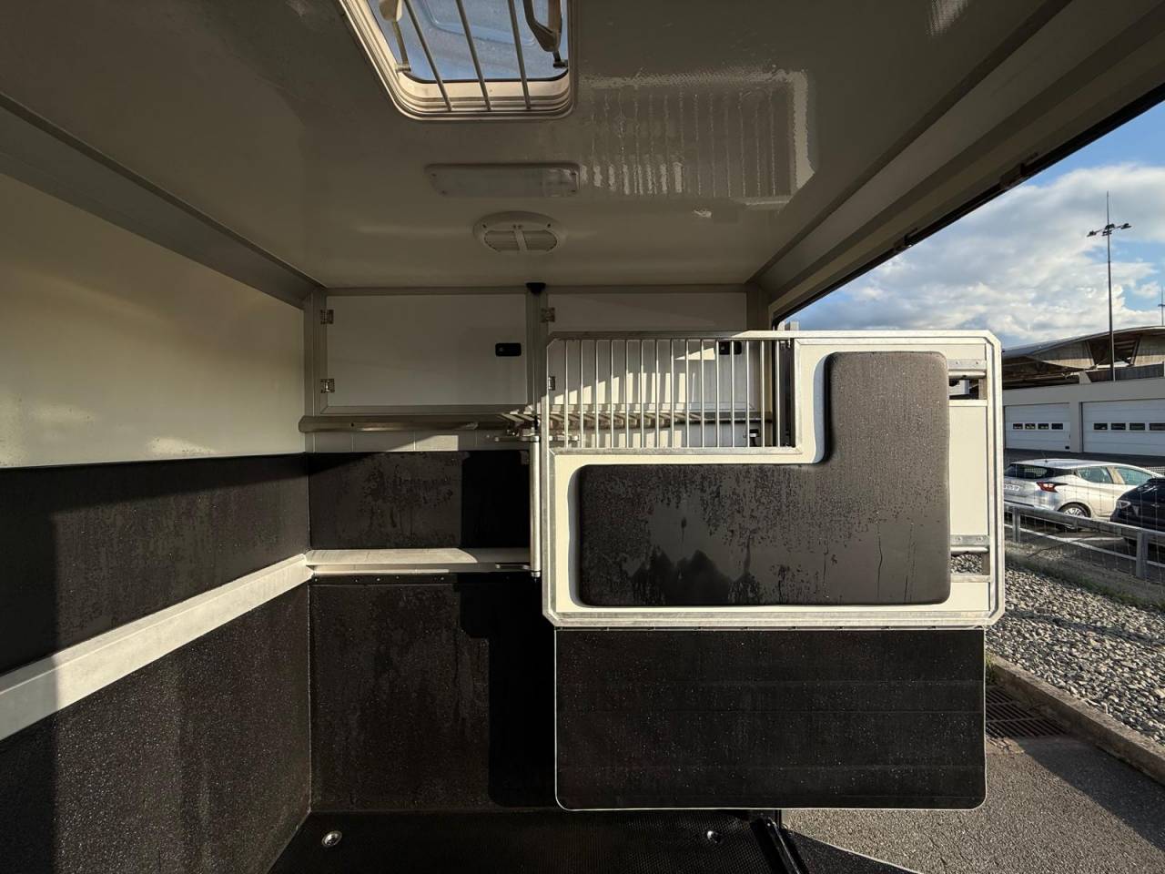 Furgoneta para caballos STX STX 2021 De segunda mano