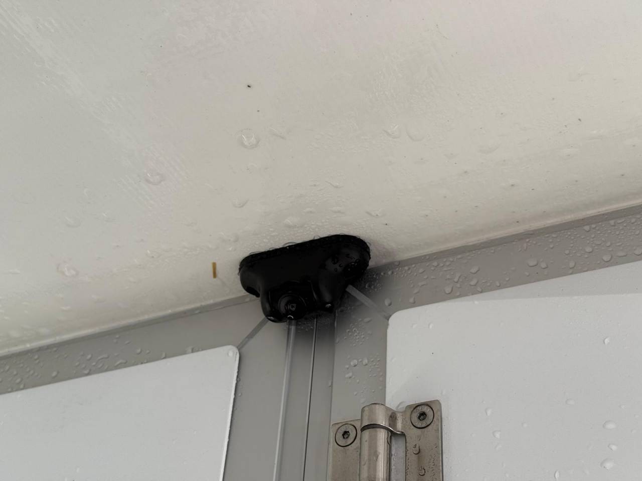 Furgoneta para caballos STX STX 2021 De segunda mano