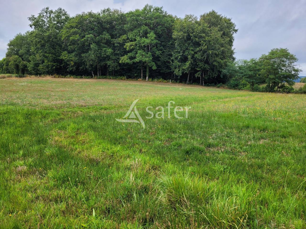 Explotación agrícola En venta Cantal