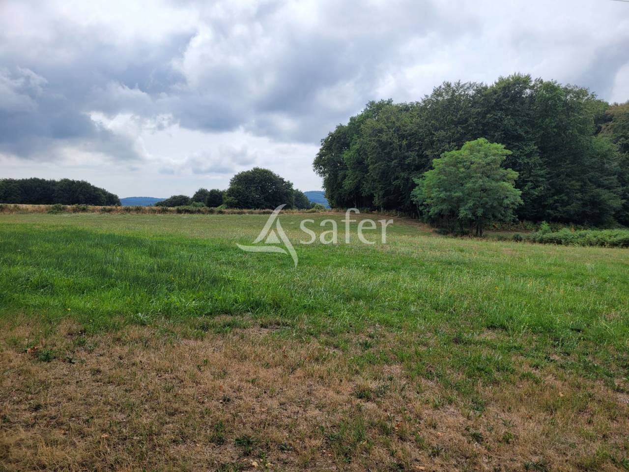 Explotación agrícola En venta Cantal