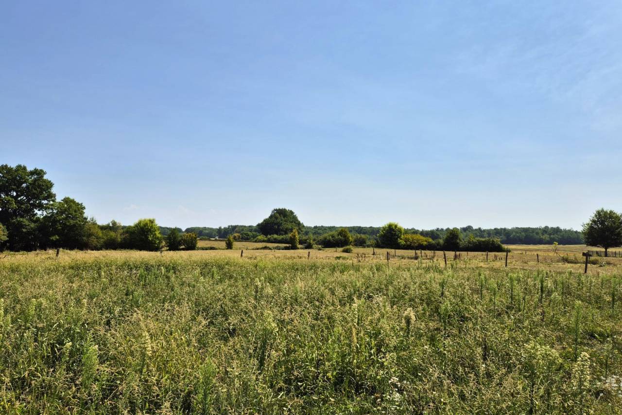 Propiedad ecuestre En venta Saona y Loira