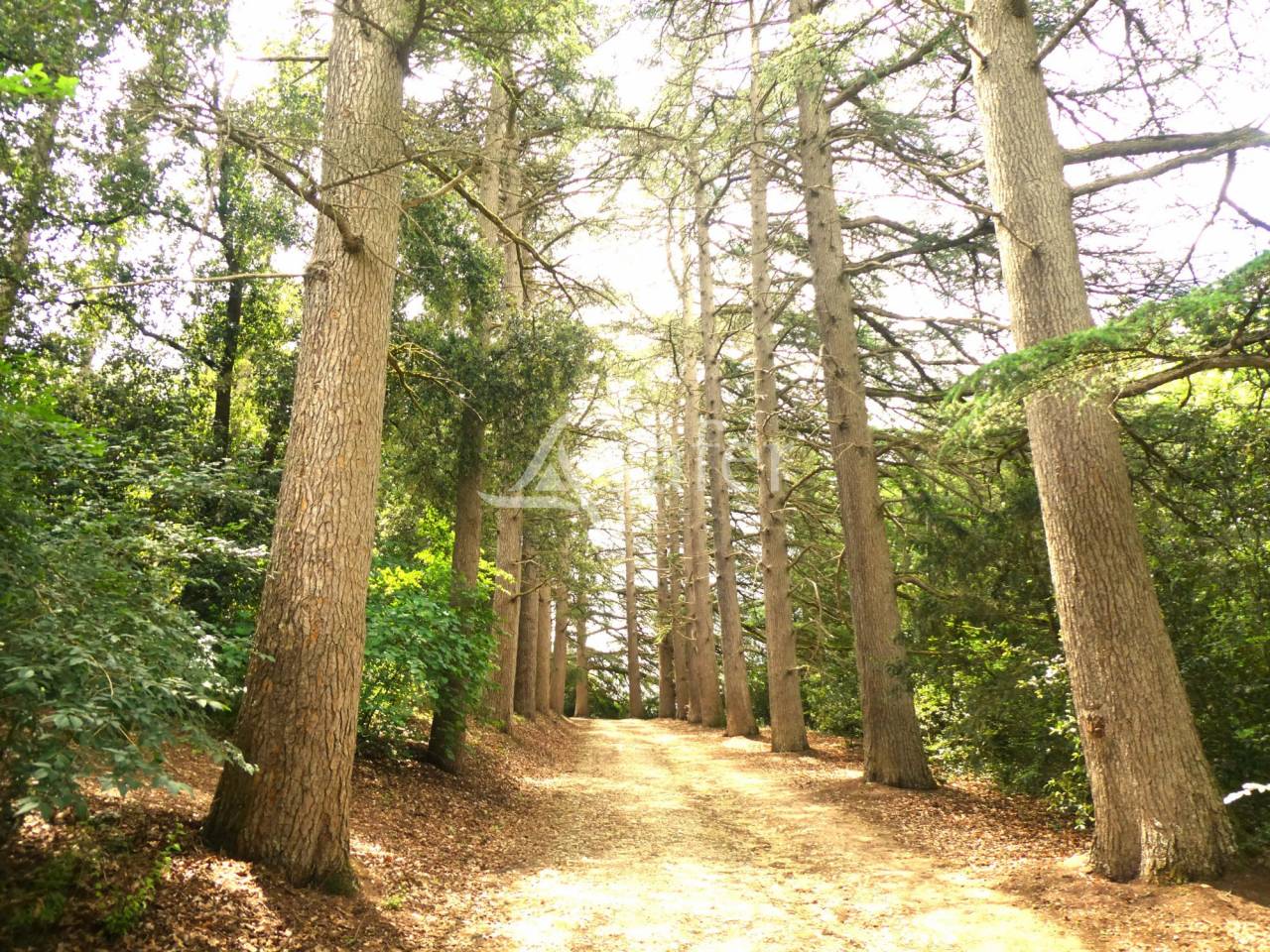 Propiedad rural En venta Gers