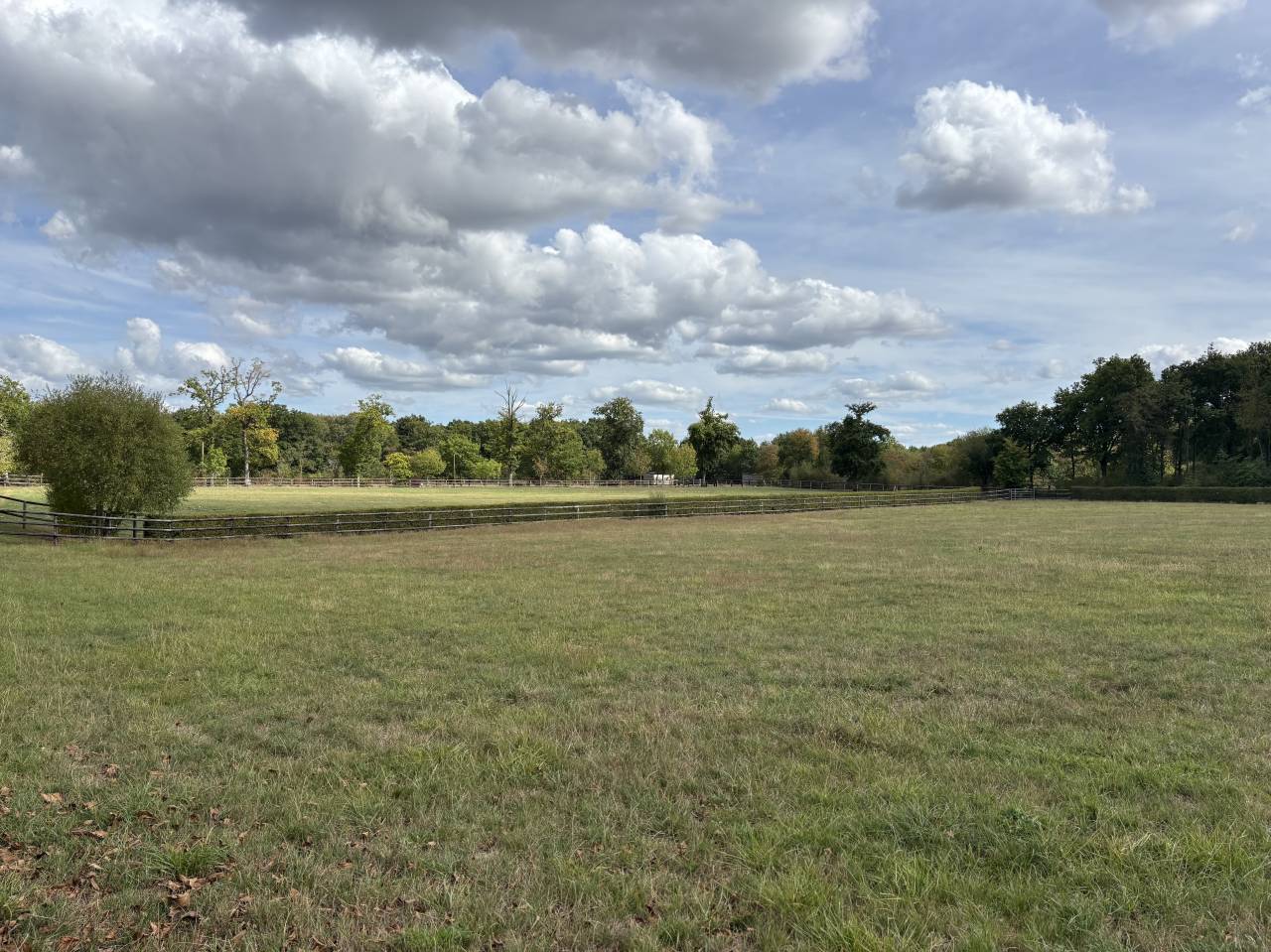 Acaballadero En venta Calvados