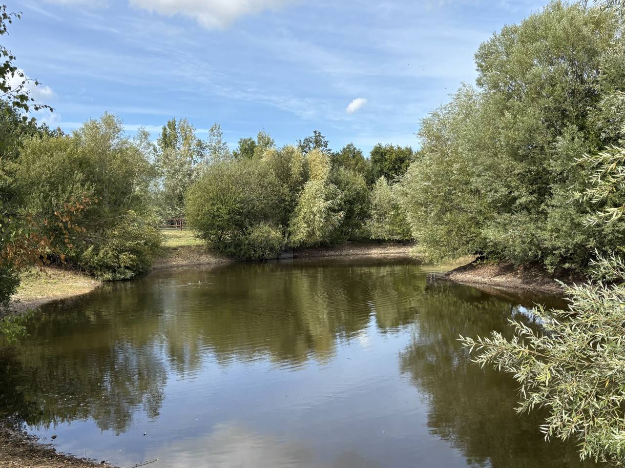 Acaballadero En venta Calvados