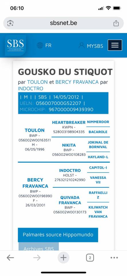 Caballo castrado sBs Caballo de Deporte Belga En venta 2012 Bayo por TOULON