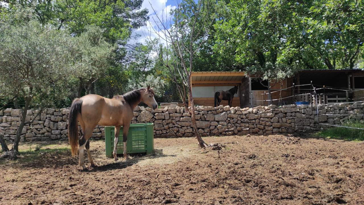 Bonita residencia ecuestre En venta Var