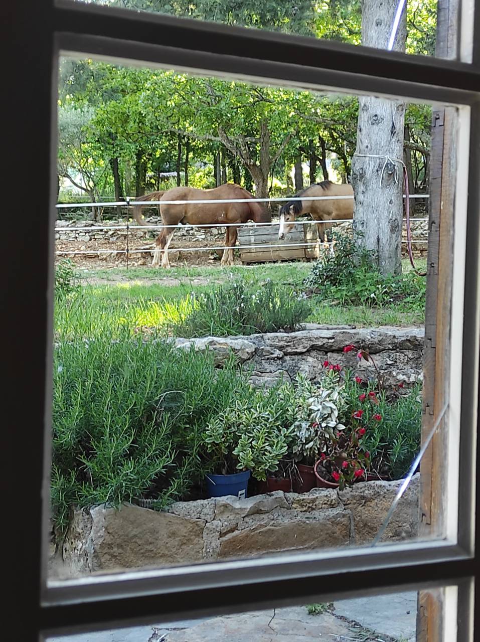 Bonita residencia ecuestre En venta Var