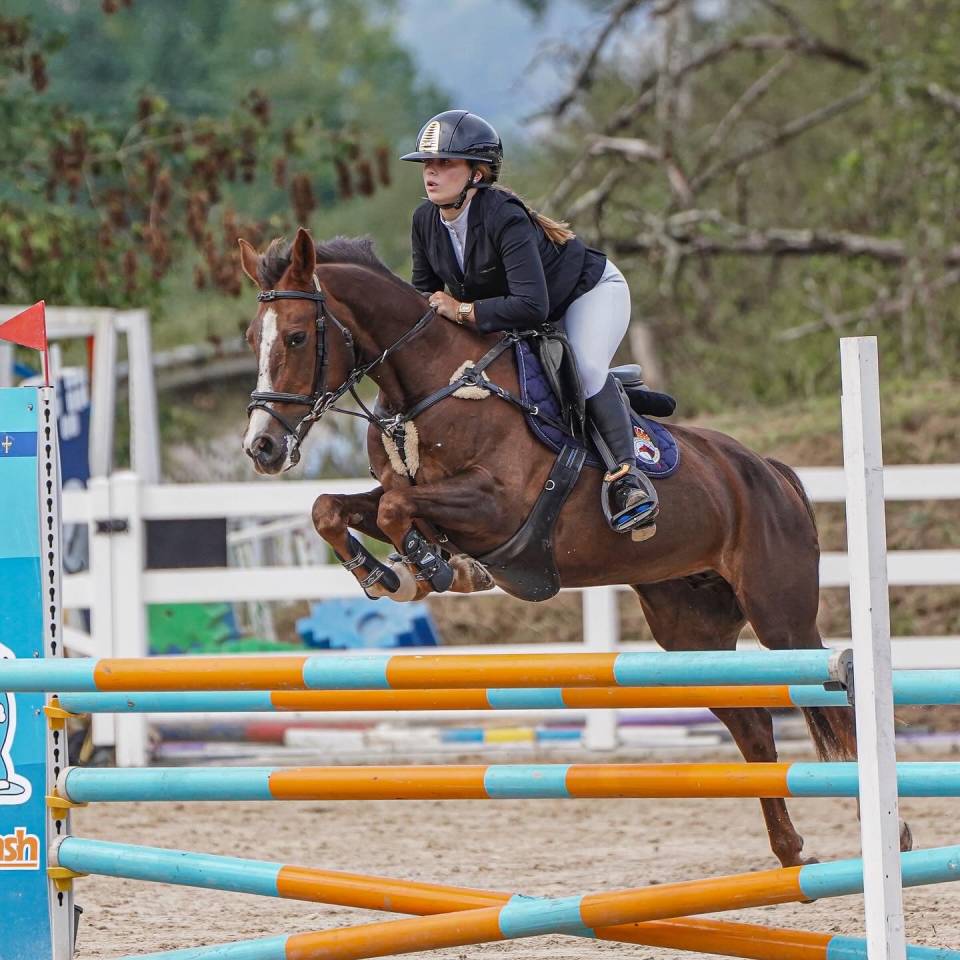 Yegua Otra Raza de Poni En venta 2013 Alazán