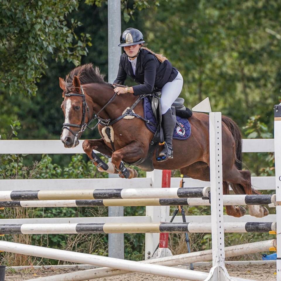 Yegua Otra Raza de Poni En venta 2013 Alazán