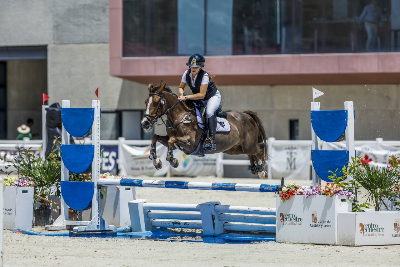 Yegua Otra Raza de Poni En venta 2013 Alazán