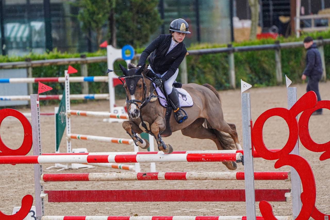 Yegua Otra Raza de Poni En venta 2013 Alazán