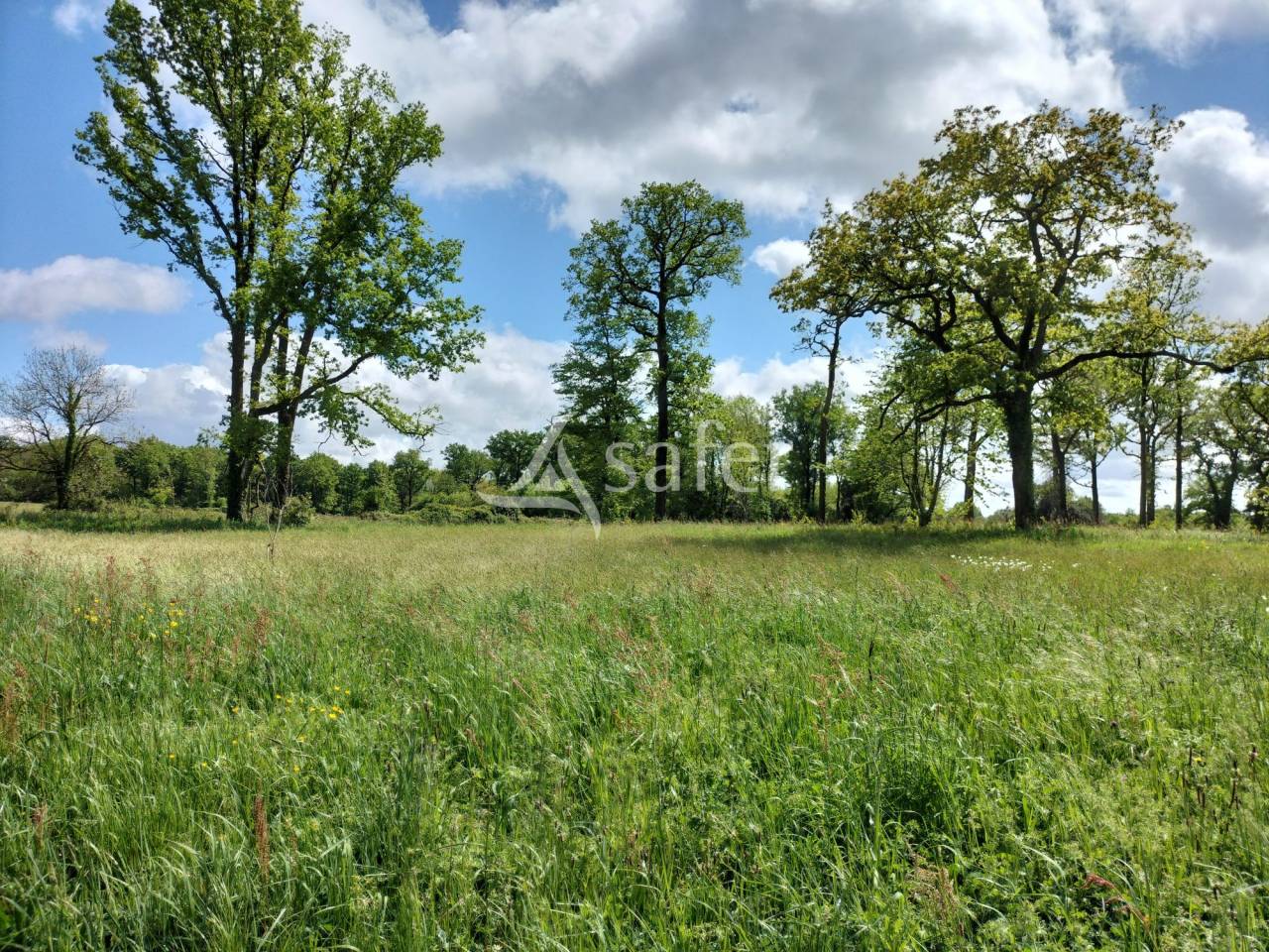 Propiedad rural En venta Vendée