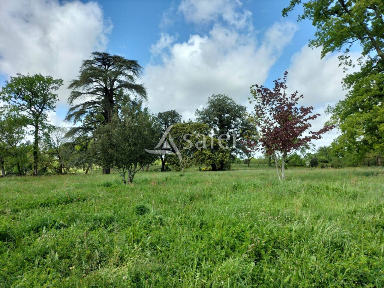 Propiedad rural En venta Vendée