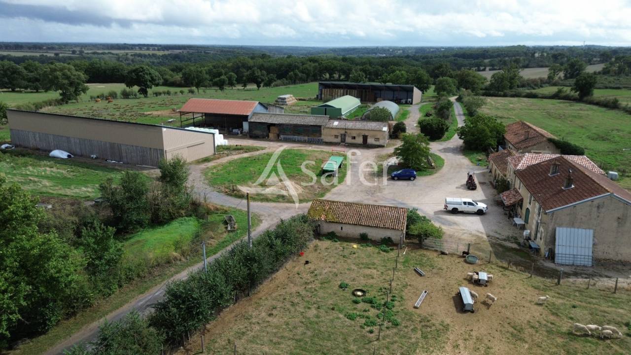 Explotación ovina En venta Vienne