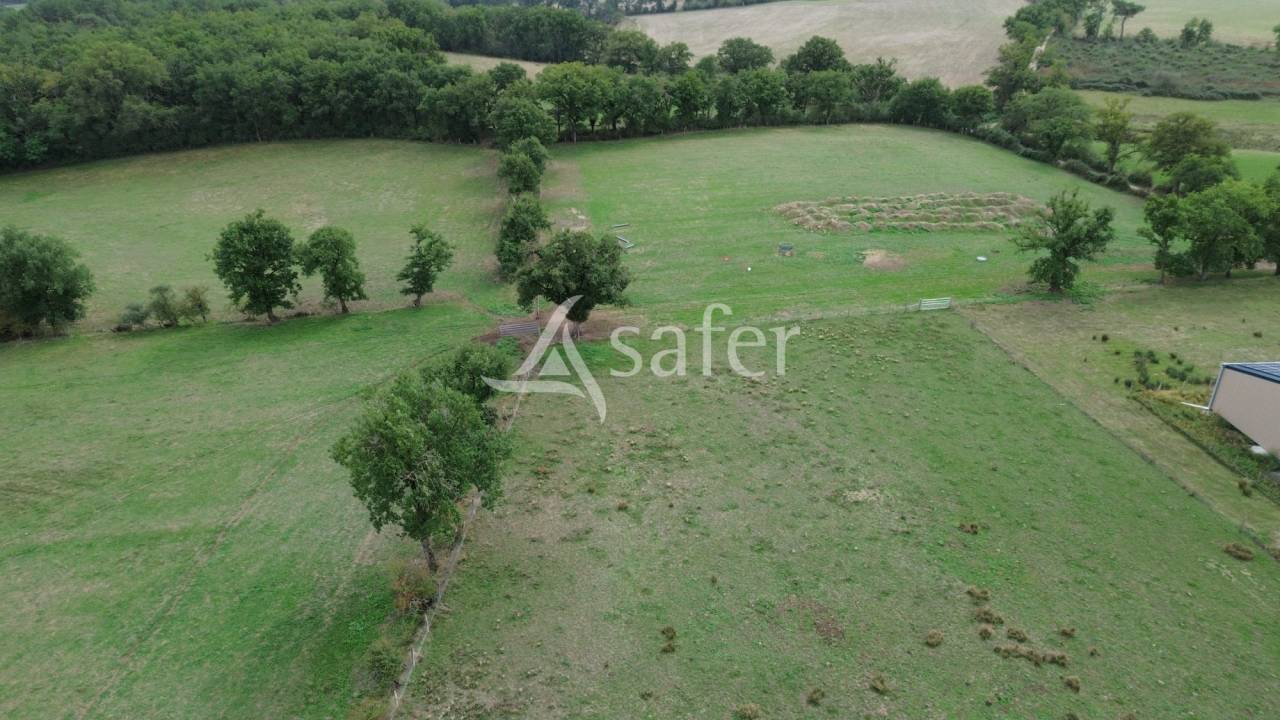 Explotación ovina En venta Vienne