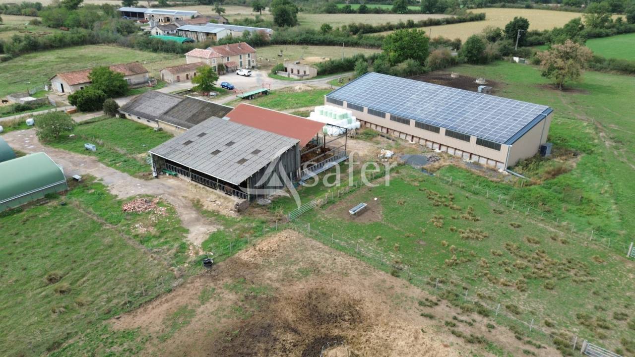 Explotación ovina En venta Vienne