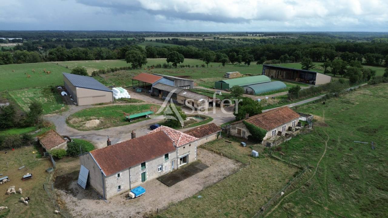 Explotación ovina En venta Vienne