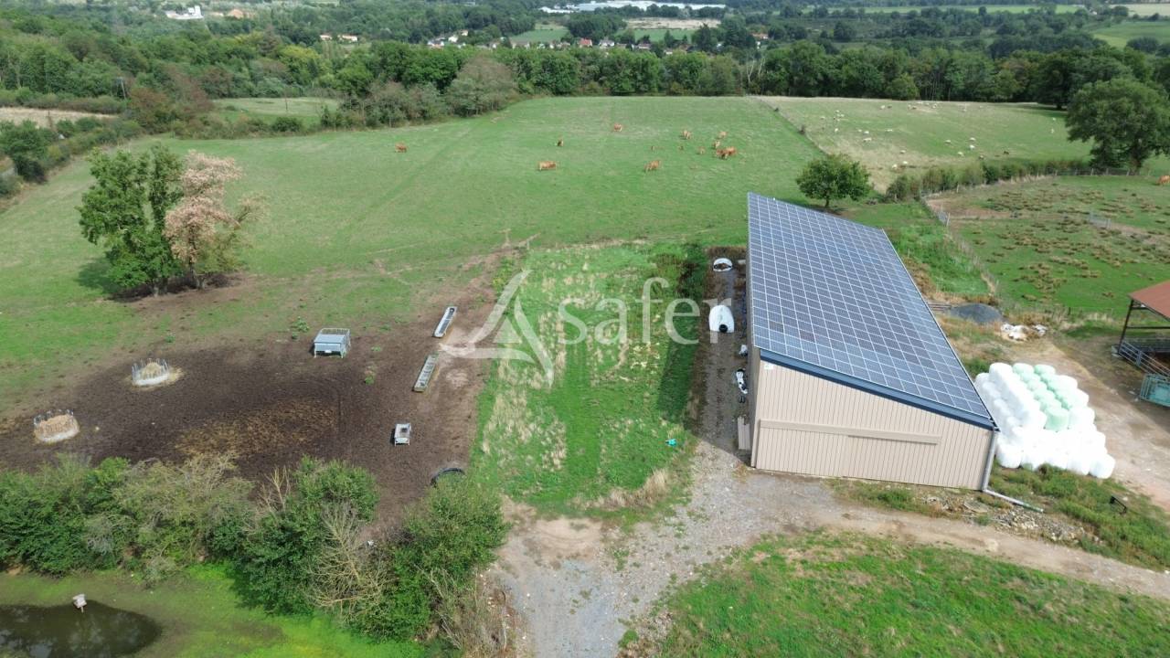 Explotación ovina En venta Vienne