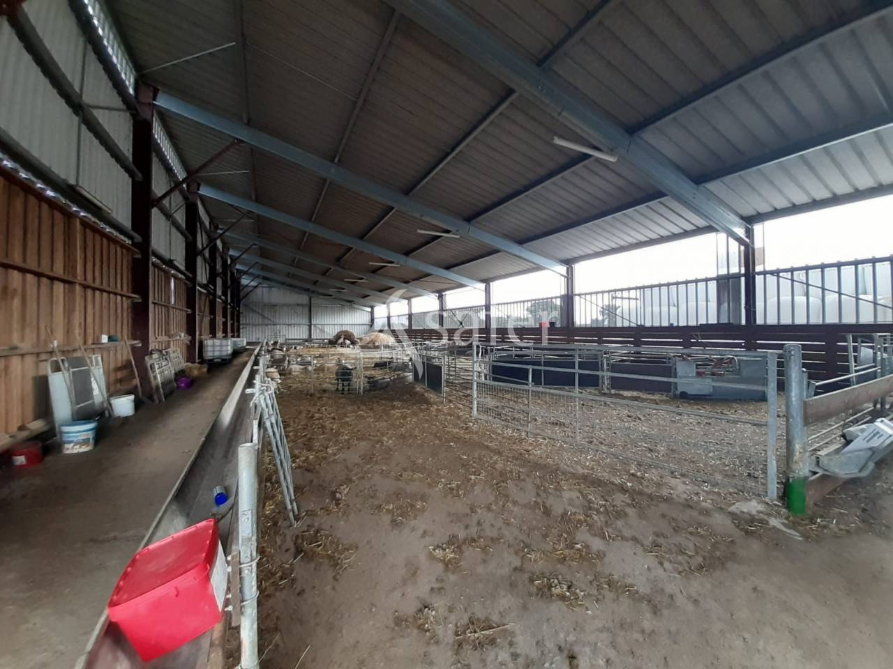 Explotación ovina En venta Vienne