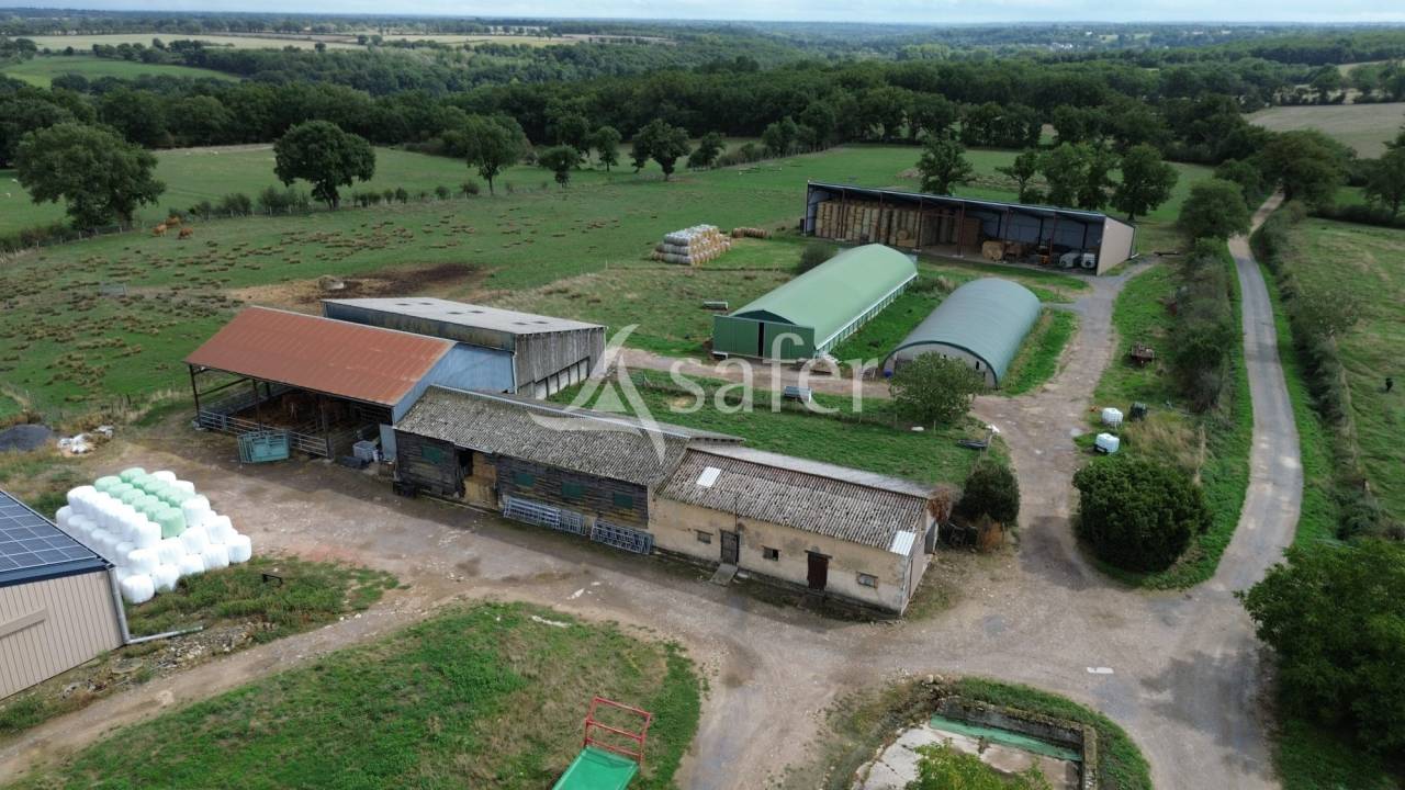 Explotación ovina En venta Vienne