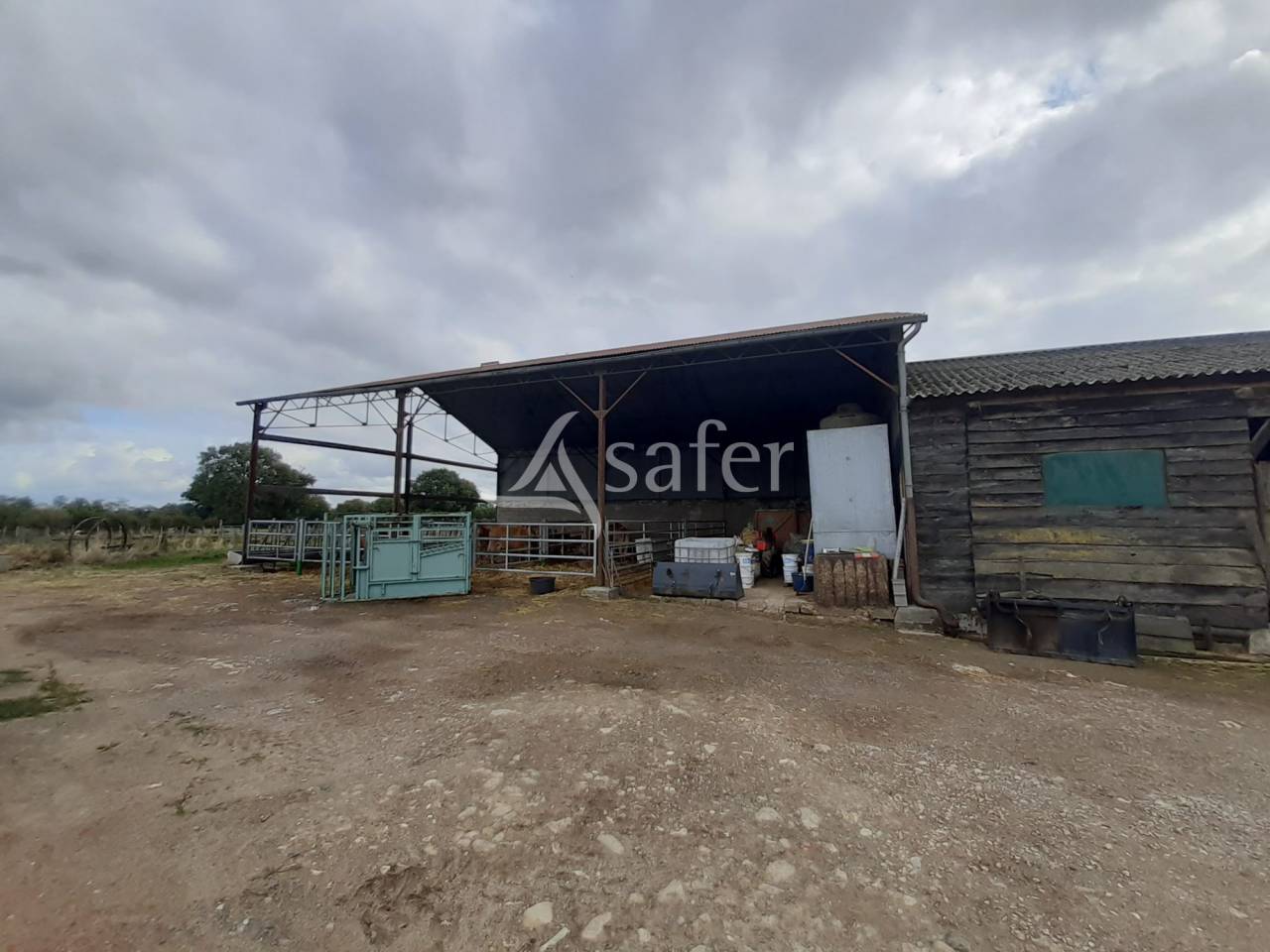 Explotación ovina En venta Vienne