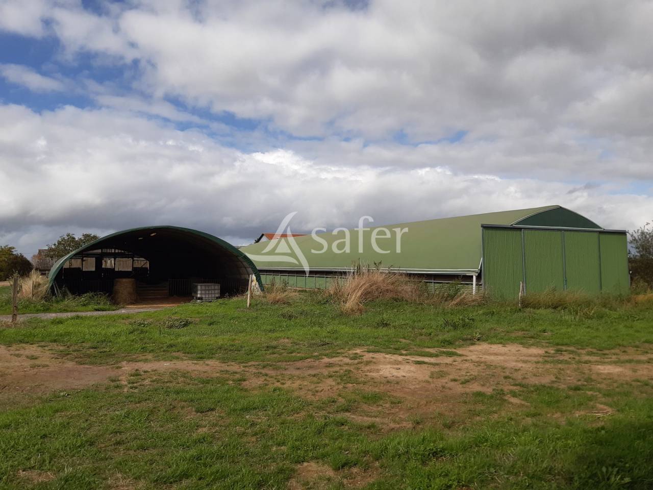 Explotación ovina En venta Vienne