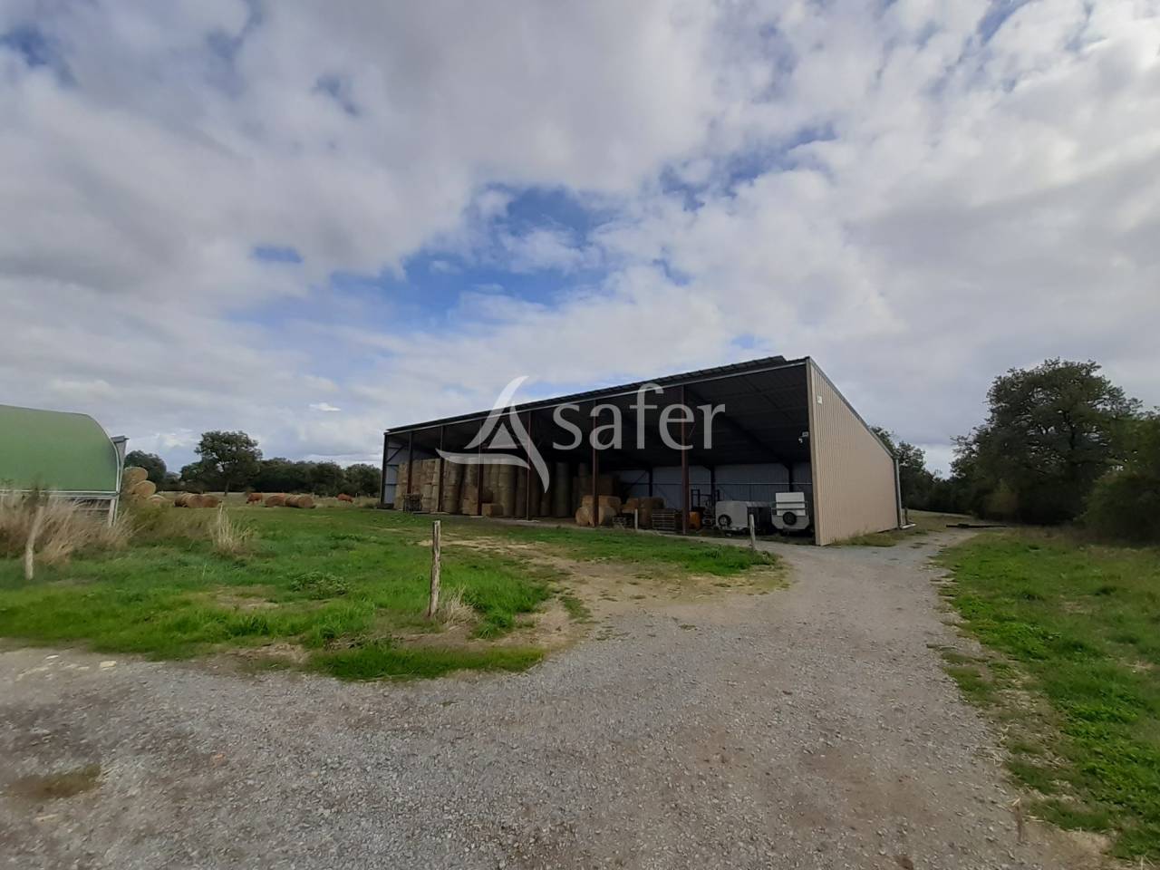 Explotación ovina En venta Vienne