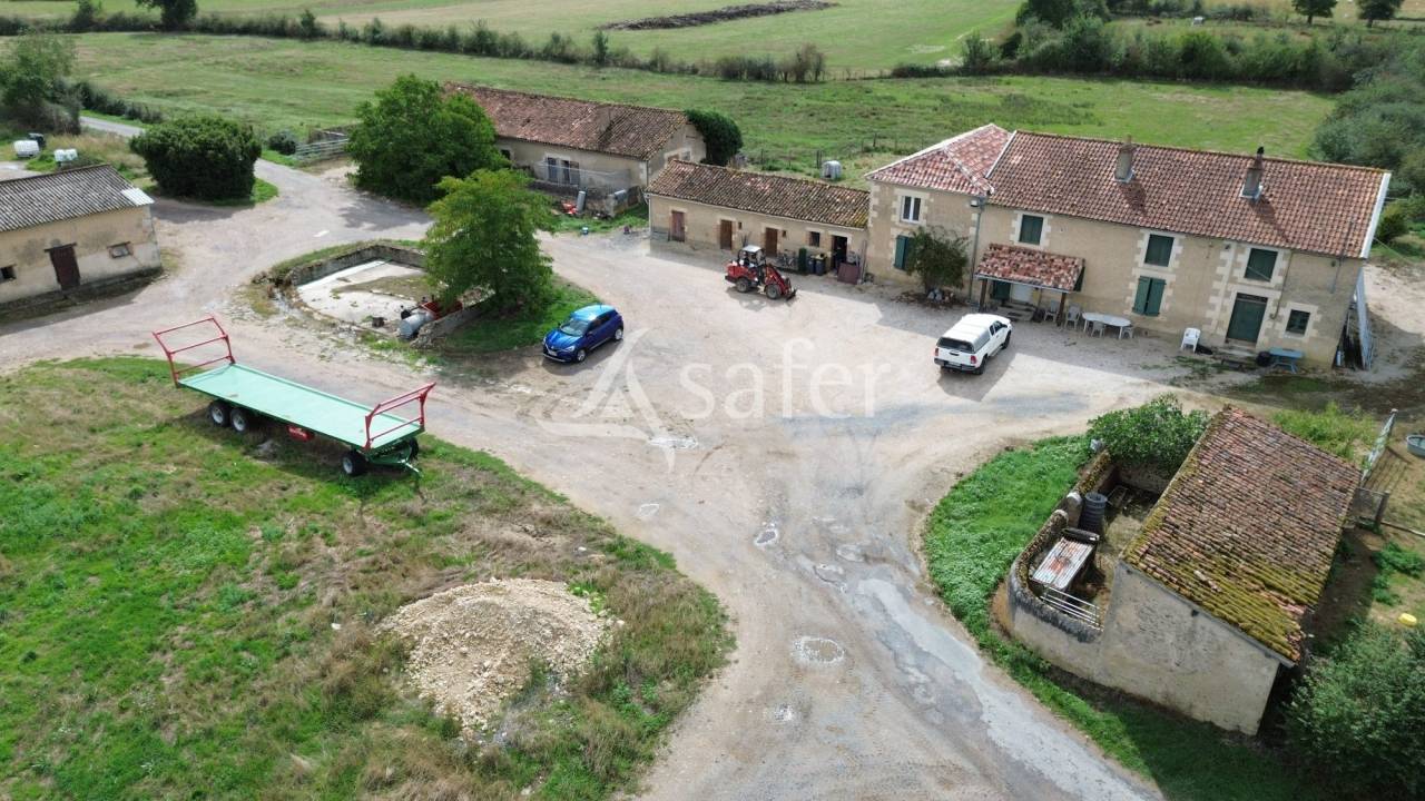 Explotación ovina En venta Vienne