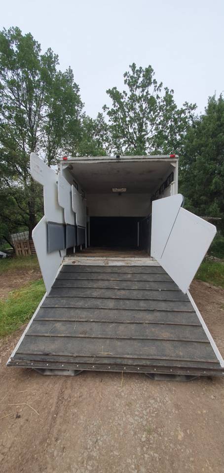 Camión para caballos Renault  2001 De segunda mano