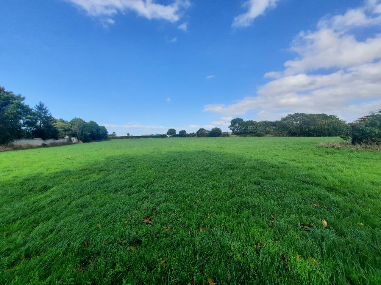 Propiedad ecuestre En venta Charente Marítimo