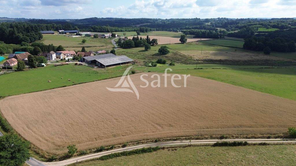 Explotación agrícola En venta Alto Vienne