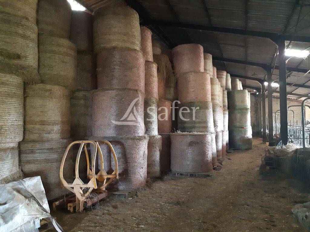 Explotación agrícola En venta Alto Vienne