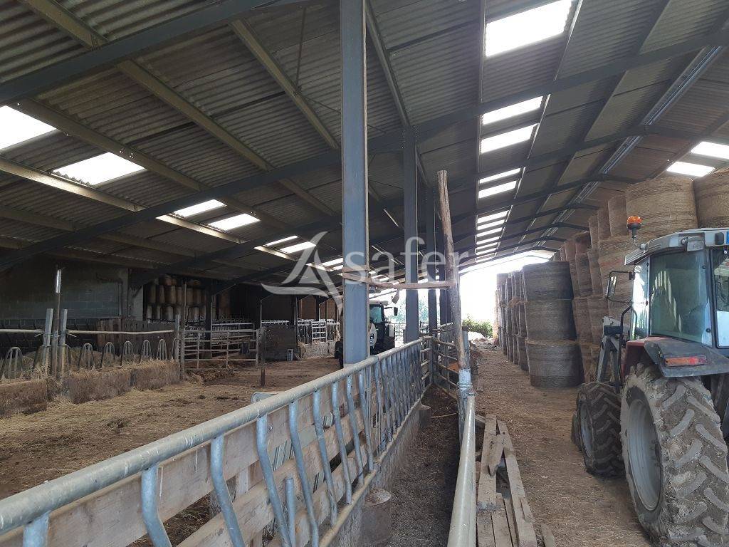 Explotación agrícola En venta Alto Vienne