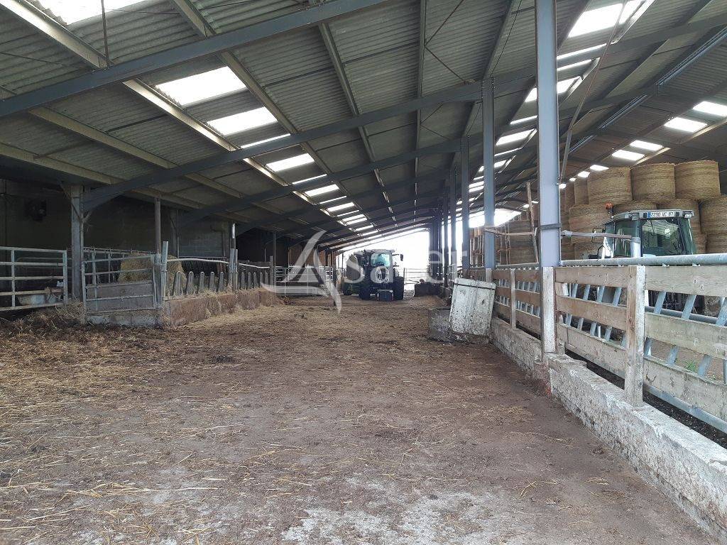 Explotación agrícola En venta Alto Vienne