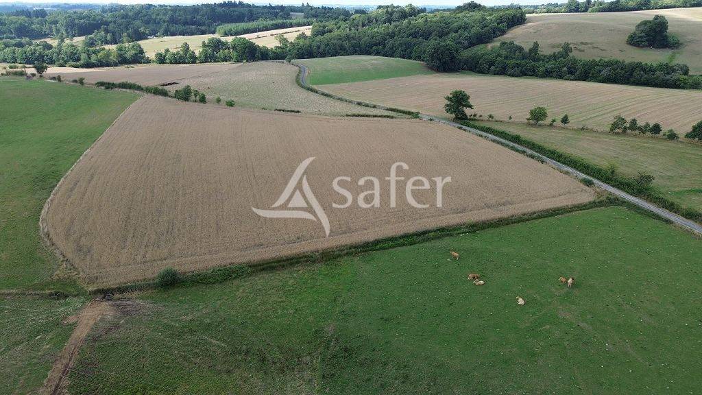 Explotación agrícola En venta Alto Vienne