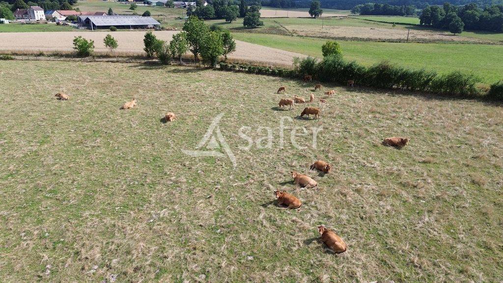 Explotación agrícola En venta Alto Vienne