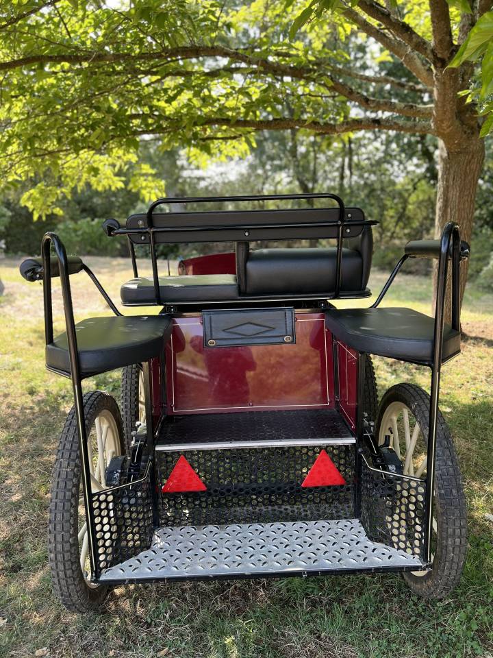 Coche enganches - Maratón ocio Pouvreau Dresseuse 1 grand poney 