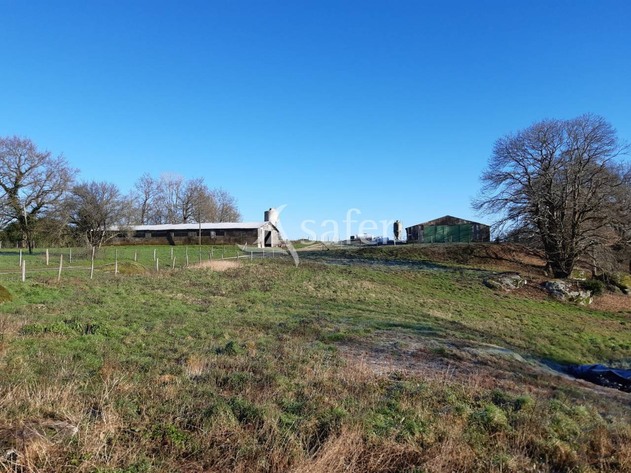 Explotación avícola En venta Deux-Sèvres