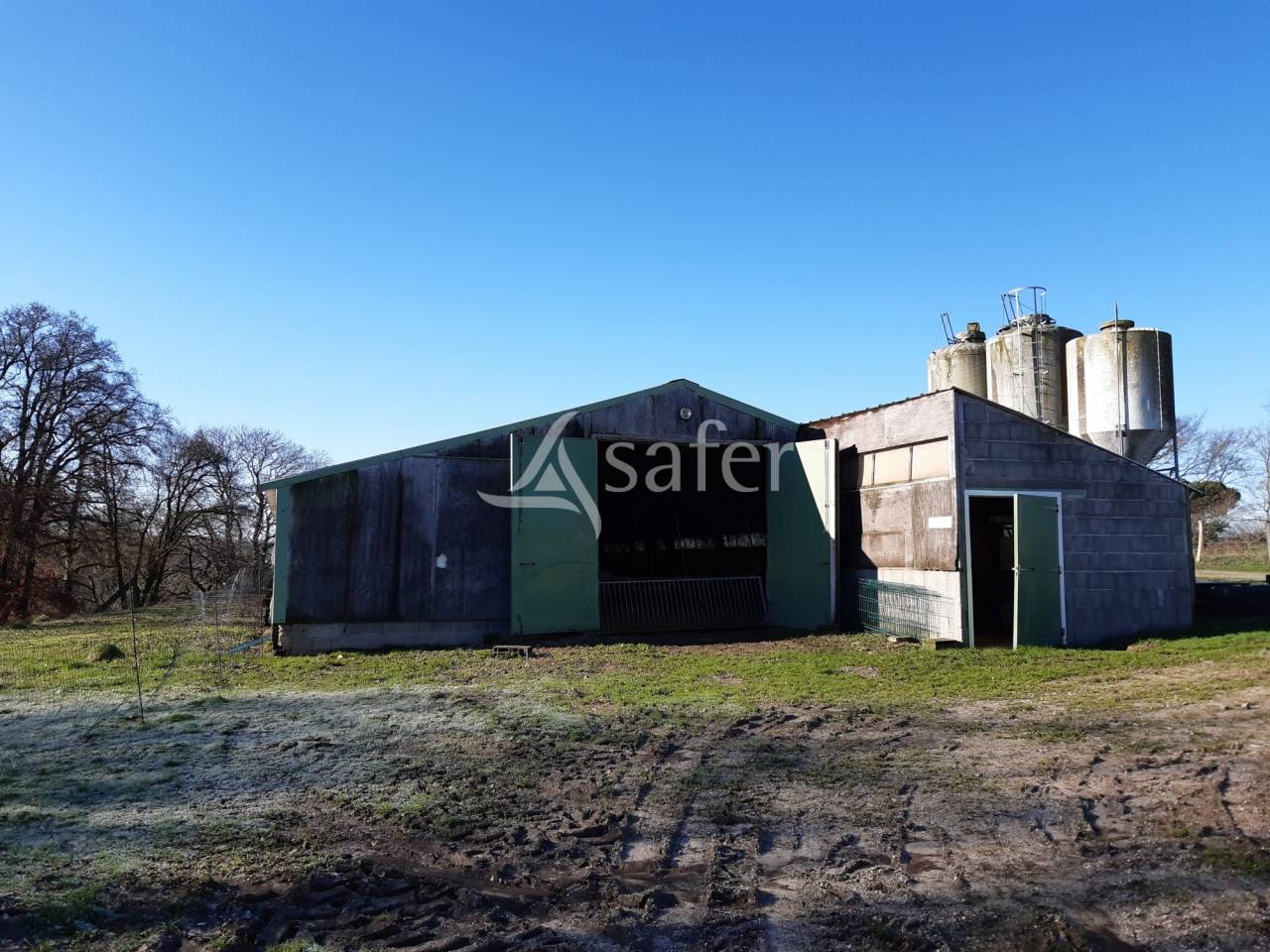 Explotación avícola En venta Deux-Sèvres