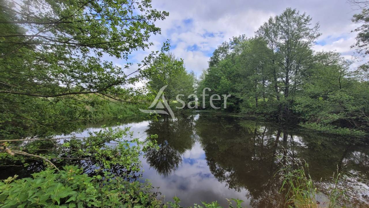 Explotaci&oacute;n av&iacute;cola En venta Deux-S&egrave;vres