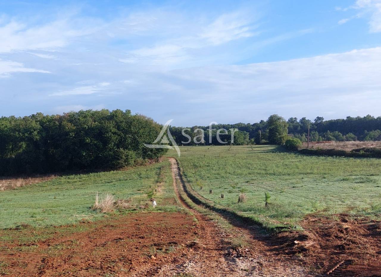 Explotación agrícola En venta Dordoña