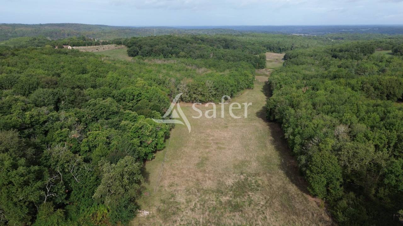 Explotaci&oacute;n agr&iacute;cola En venta Dordo&ntilde;a