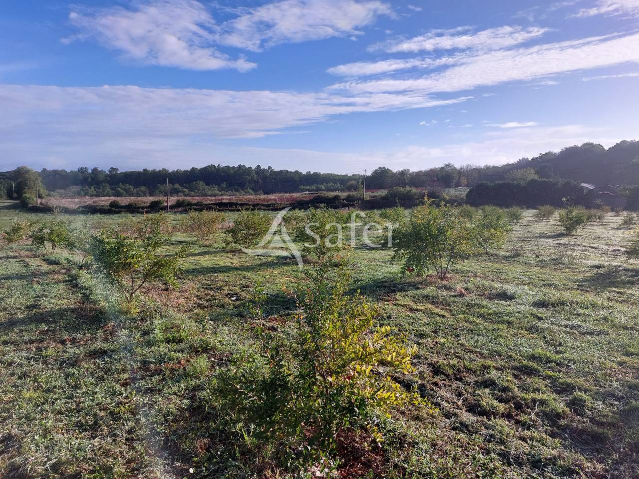 Explotaci&oacute;n agr&iacute;cola En venta Dordo&ntilde;a