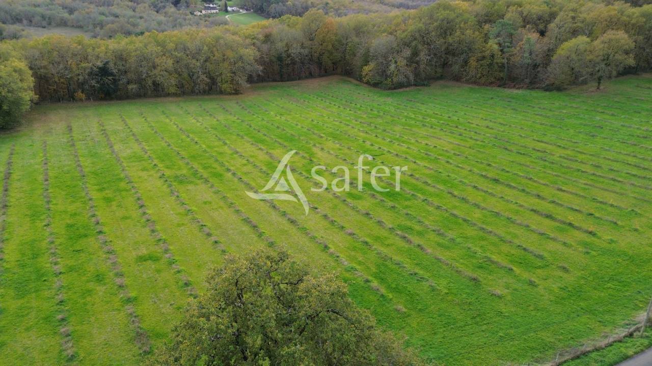 Explotación agrícola En venta Dordoña