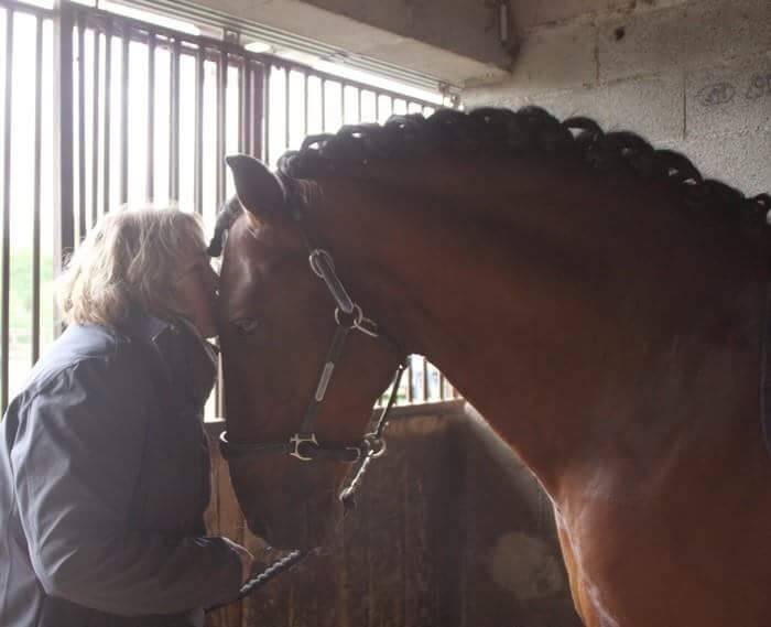 Potranca PRE Pura Raza Española En venta 2025 Tordo