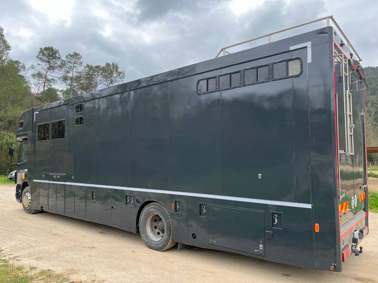 Camión para caballos Daf  2004 De segunda mano